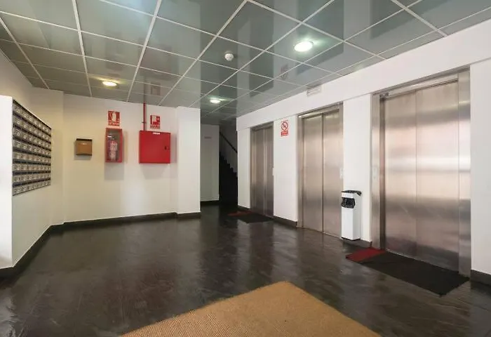 Ayemar * סיירה נבדה